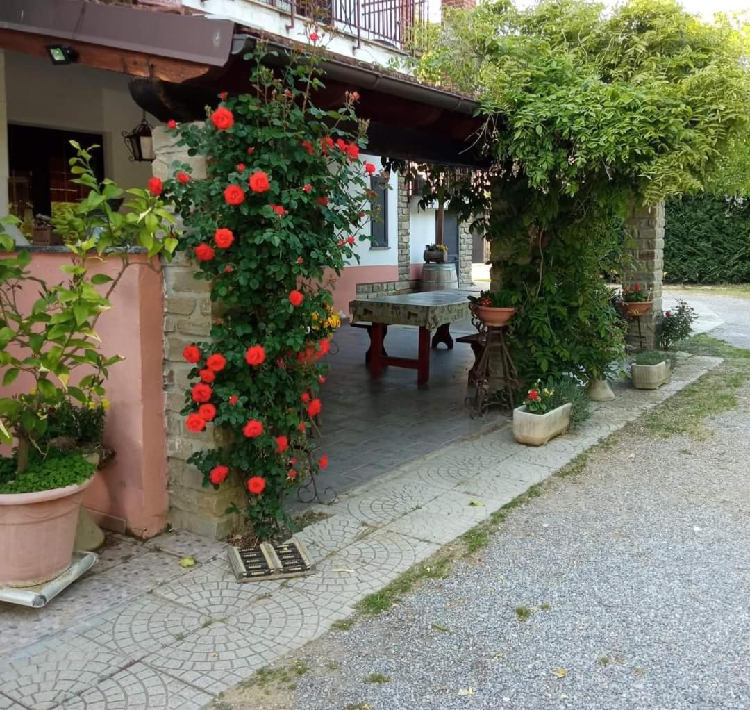 Agri Bertorella Cuneo Exteriör bild
